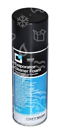 ERRECOM FOAM 200 ml, Verdampfer Reinigungsschaum (A/C)