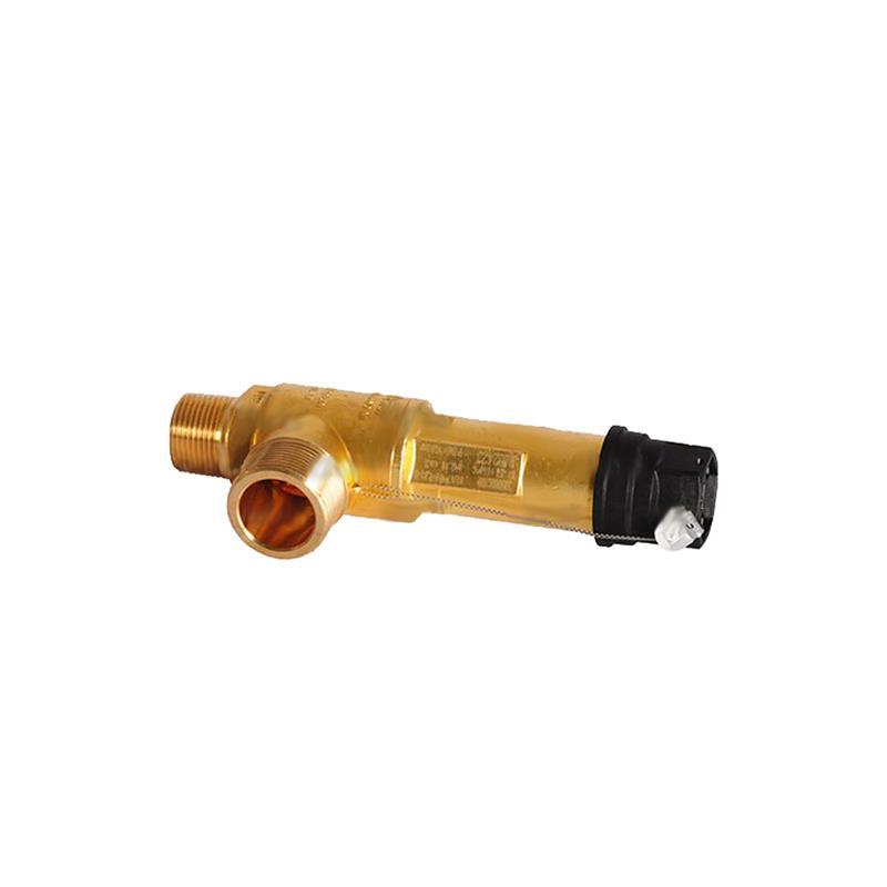 Sicherheitsventil Castel 3030/88C160 1" NPT 16 bar