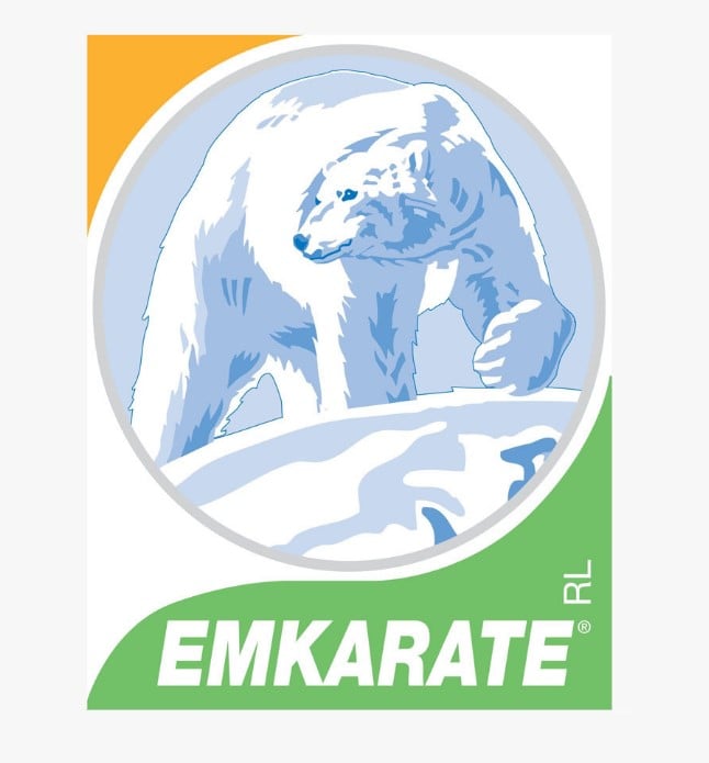 Tier, Bär, Säugetier, Tierwelt