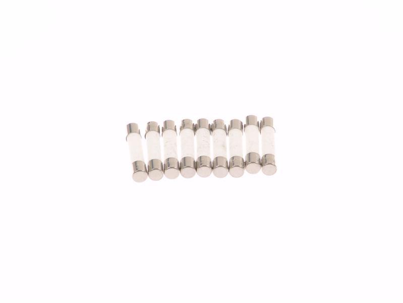 Sicherung Mikrowelle 10 A (6,3 x 32 mm)