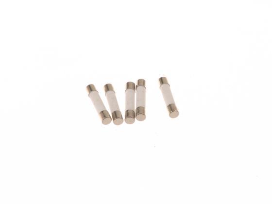 Sicherung Mikrowelle 12,5 A (6,3 x 32 mm)