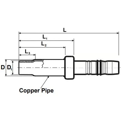 Diagramm, Handlung