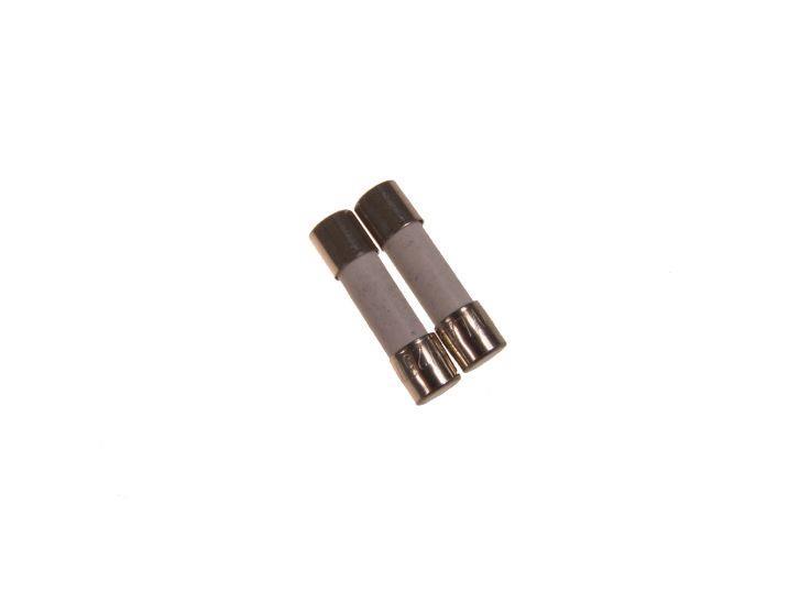 Sicherung Mikrowelle 12,5 A (5 x 20 mm)