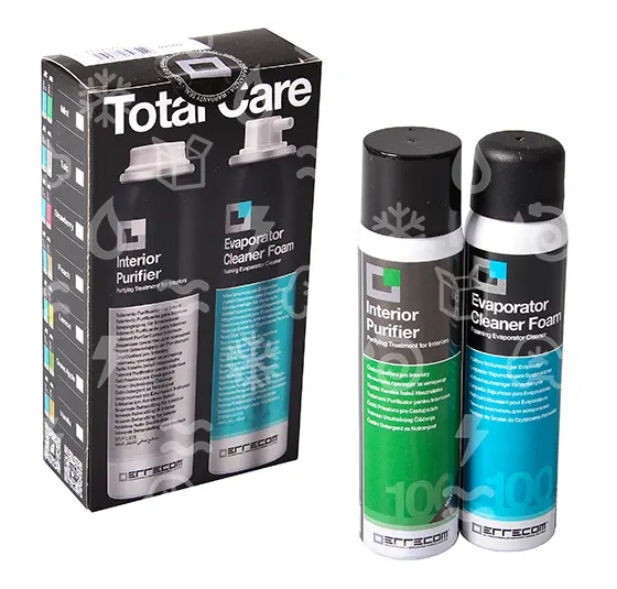 Errecom Komplettset zur Klimaanlagen-Hygiene – Schaum + Aerosol, 2×100 ml, Pfefferminze