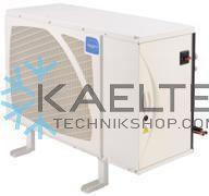 Verflüssigungssatz Tecumseh Silensys SILRG4450YFZ S981930202, R134A, 230V