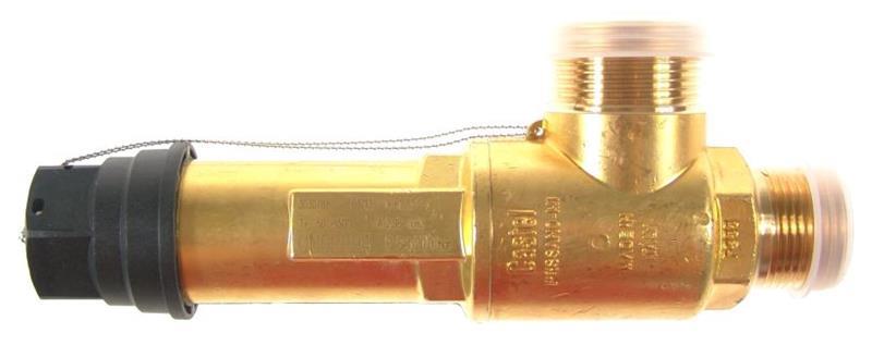 Sicherheitsventil Castel 3030/88C200, Schrauben 1" NPT, 20 bar