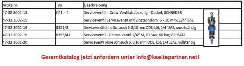 Ventil Deckelschraube 1/4"SAE, SCHRADER (Kappe für Schraderventil, Endkappe, Verschlusskappe, Schraderventilkappe)