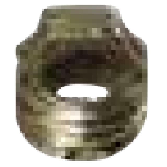Person
