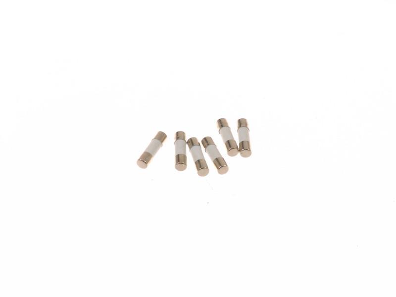Sicherung Mikrowelle 10 A (5 x 20 mm)